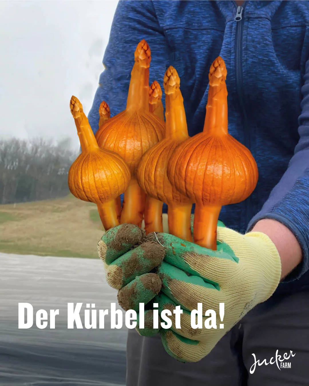 Zwei Hände halten eine fiktive neue Gemüseform: den Kürbel, eine Kreuzung aus Kürbis und Spargel.